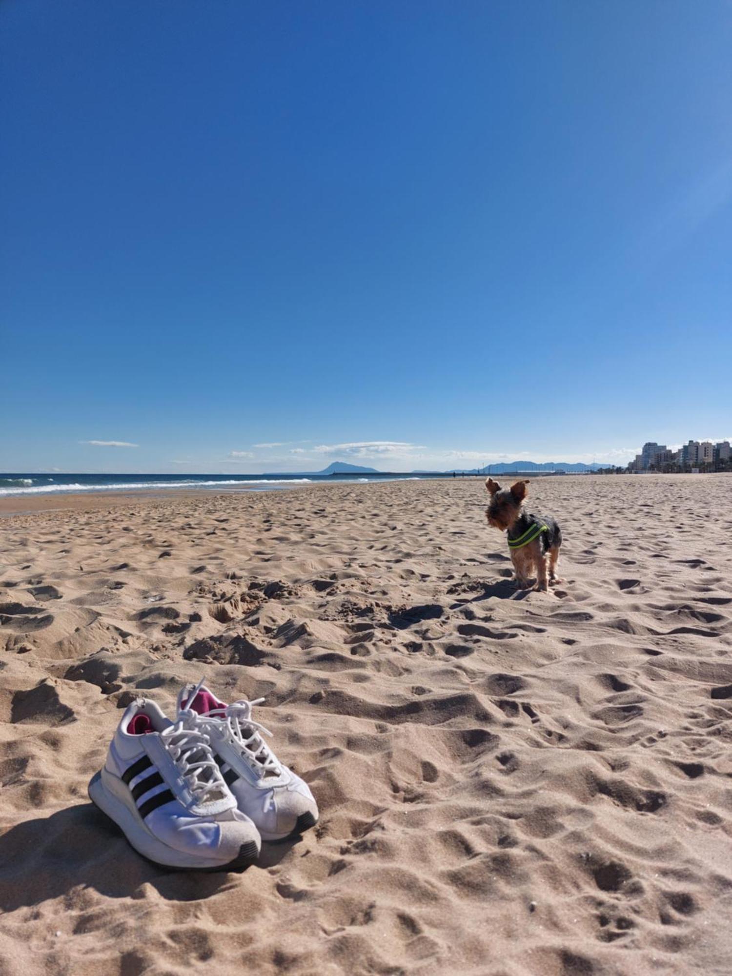 Precioso En Gandia Playa de Gandia